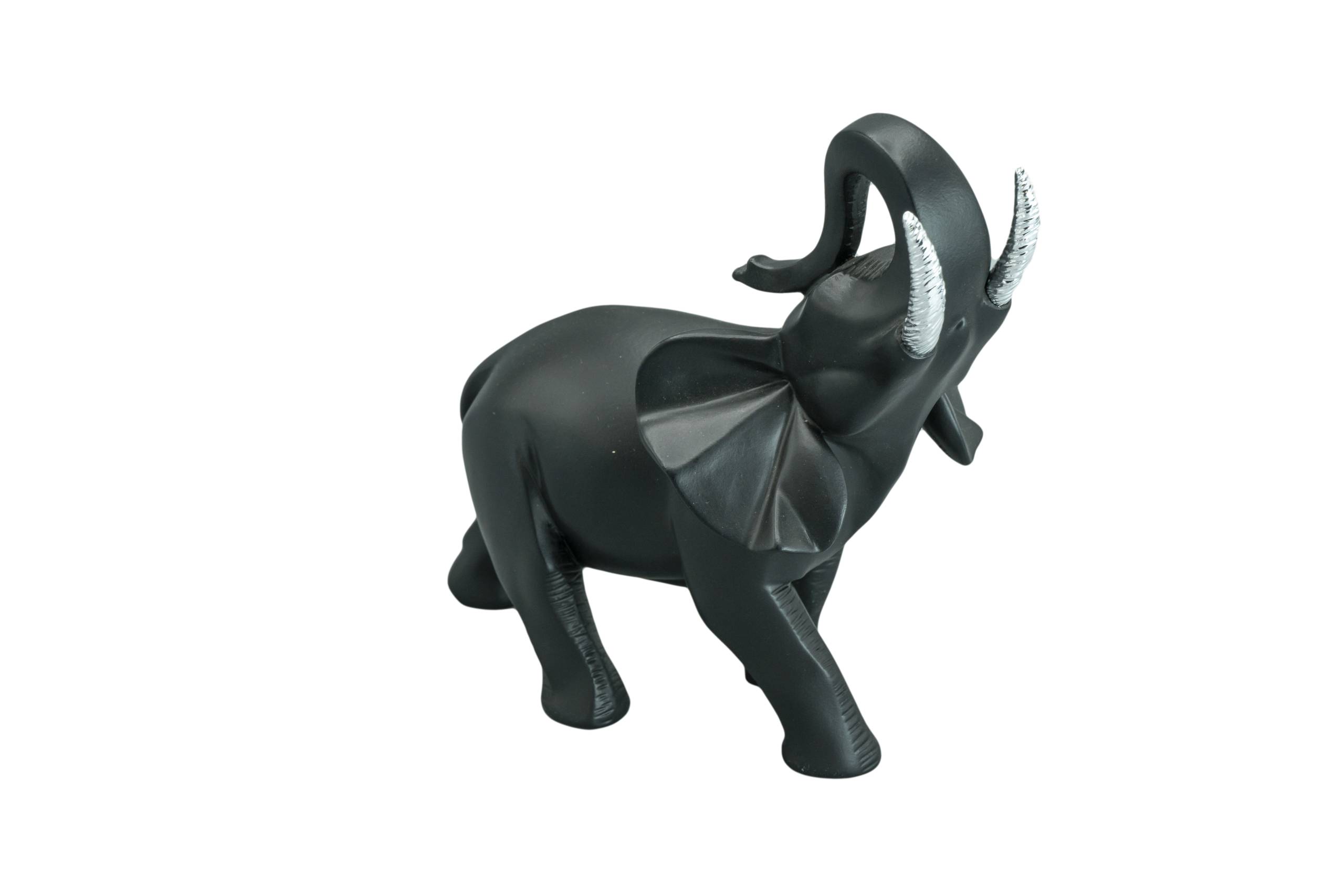 Elefante (calcas) - Imagen 2