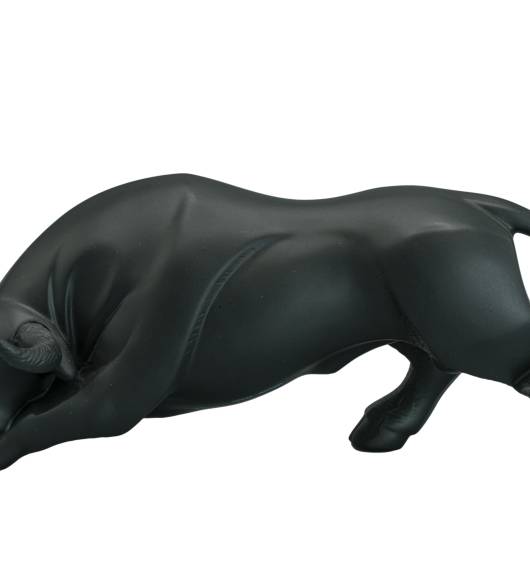 Toro s/calcas