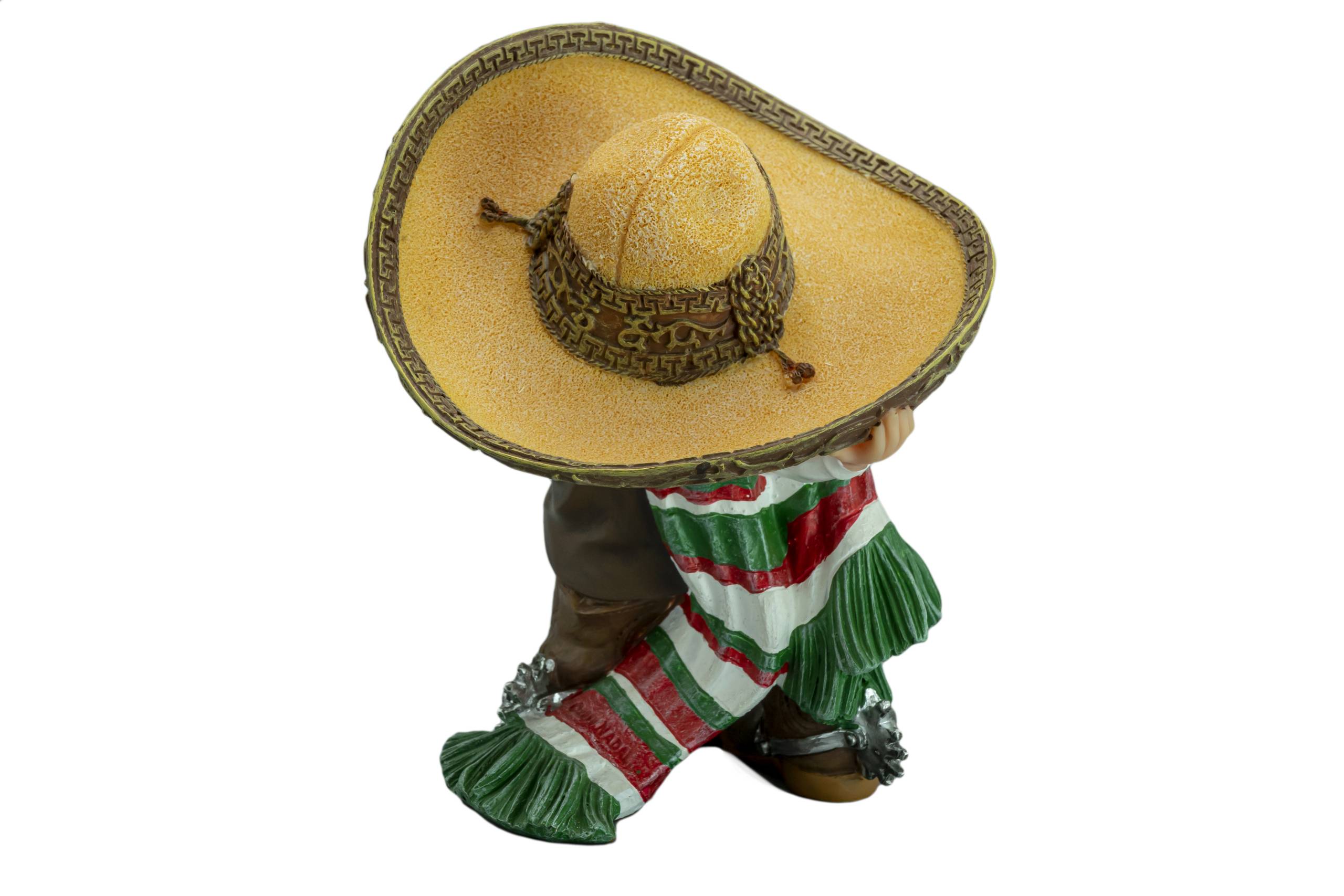 Mi gran sombrero - Imagen 2
